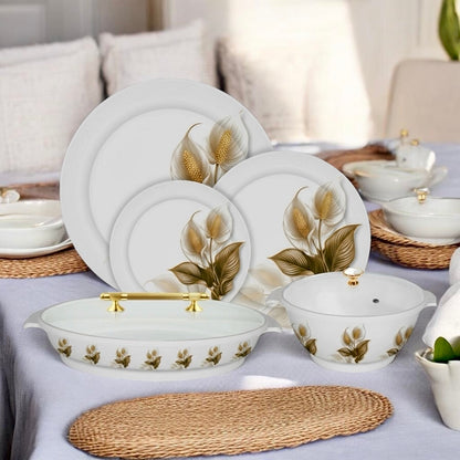 Double glaze dinner set 72 pcs (104)