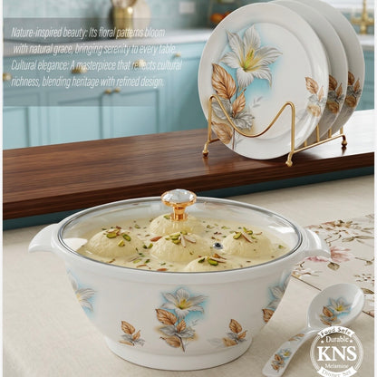 Double glaze dinner set 72pcs (102)